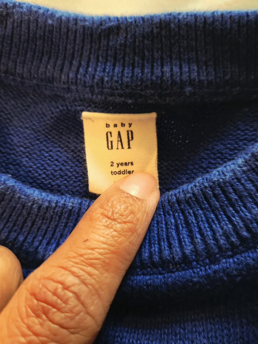 GAP Blue Crewneck Sweater with Green and Cream Dinosaur Intarsia